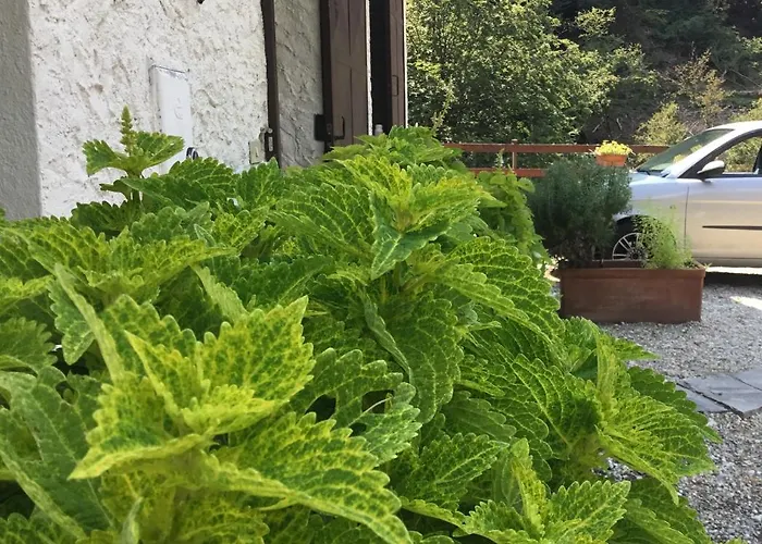 Ferienhaus Mulino Della Valle Cittiglio